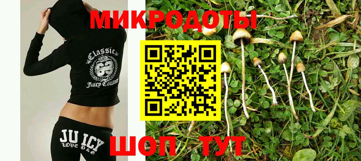 Галлюциногенные грибы мицелий Гусев